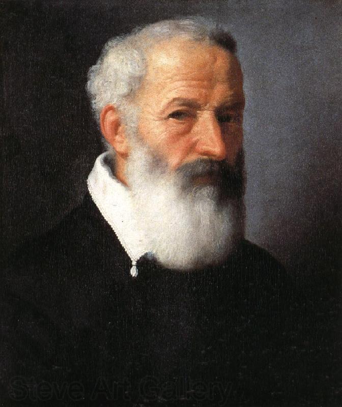 MORONI, Giovanni Battista Portrait of an Old Man